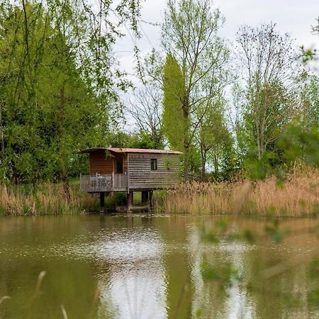 Lakeside Cabin On Stilts- 'Kingfisher' Rous Lench Extérieur photo